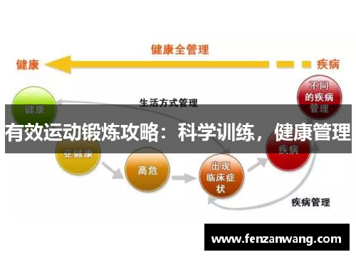 有效运动锻炼攻略：科学训练，健康管理